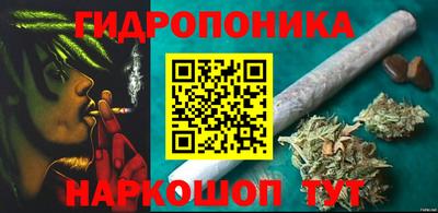 мдпв Кингисепп