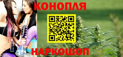 мдпв Кингисепп