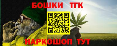 мдпв Кингисепп