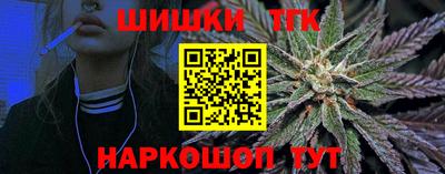мдпв Кингисепп