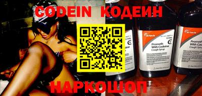 мдпв Кингисепп