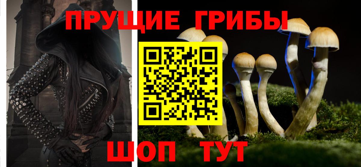 Тара  Галлюциногенные грибы мухоморы  Псилоцибиновые грибы MAGIC MUSHROOMS  Вход с VPN 